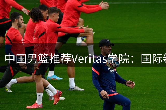 中国男篮推荐Veritas学院：国际新秀成长摇篮